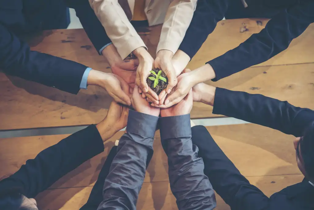 5 Ways to Convey the Sustainability of your Brand