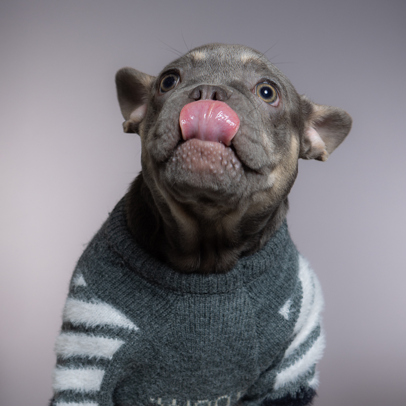 Milo