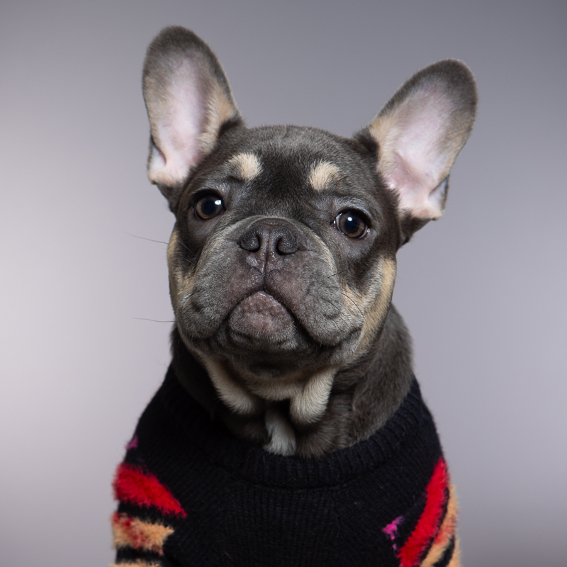 Ralph